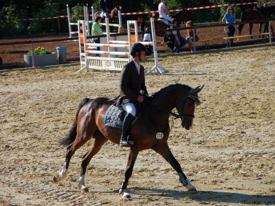Pferdesport FEI World Championships Aachen 2026 Tickets